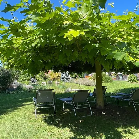 Weinresidenz Sonnleitner - Adults Only 4*