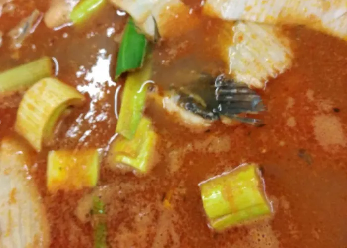 Hotell Weinresidenz Sonnleitner - Adults Only